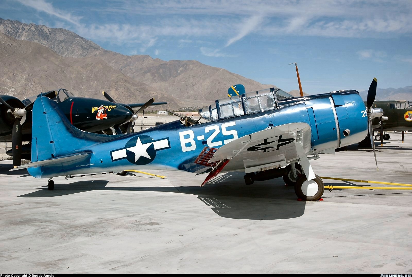 GOTHIC-AIR: DOUGLAS SBD-5 DAUNTLESS (The most successful 