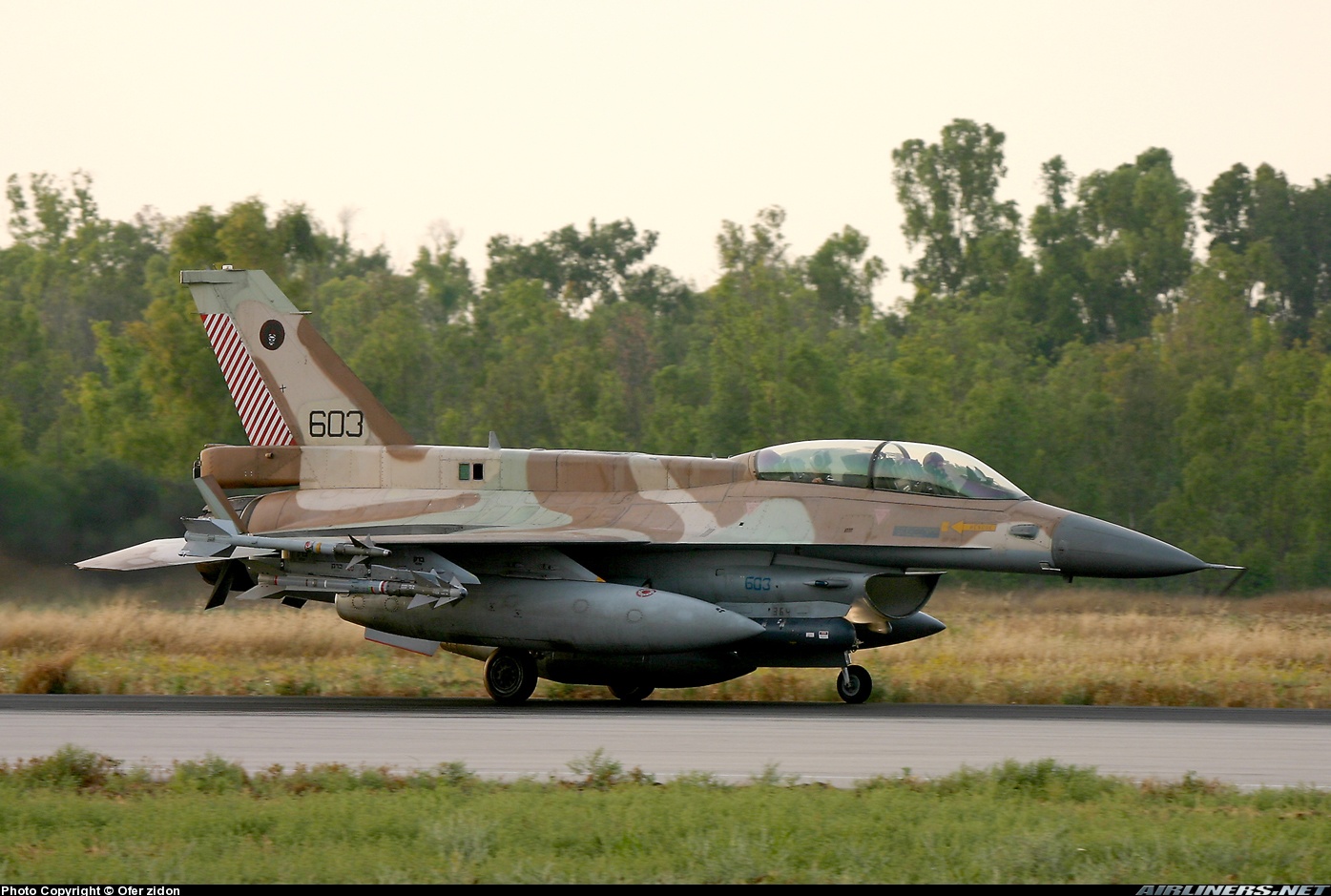 Resultado de imagem para F-16D Brakeet