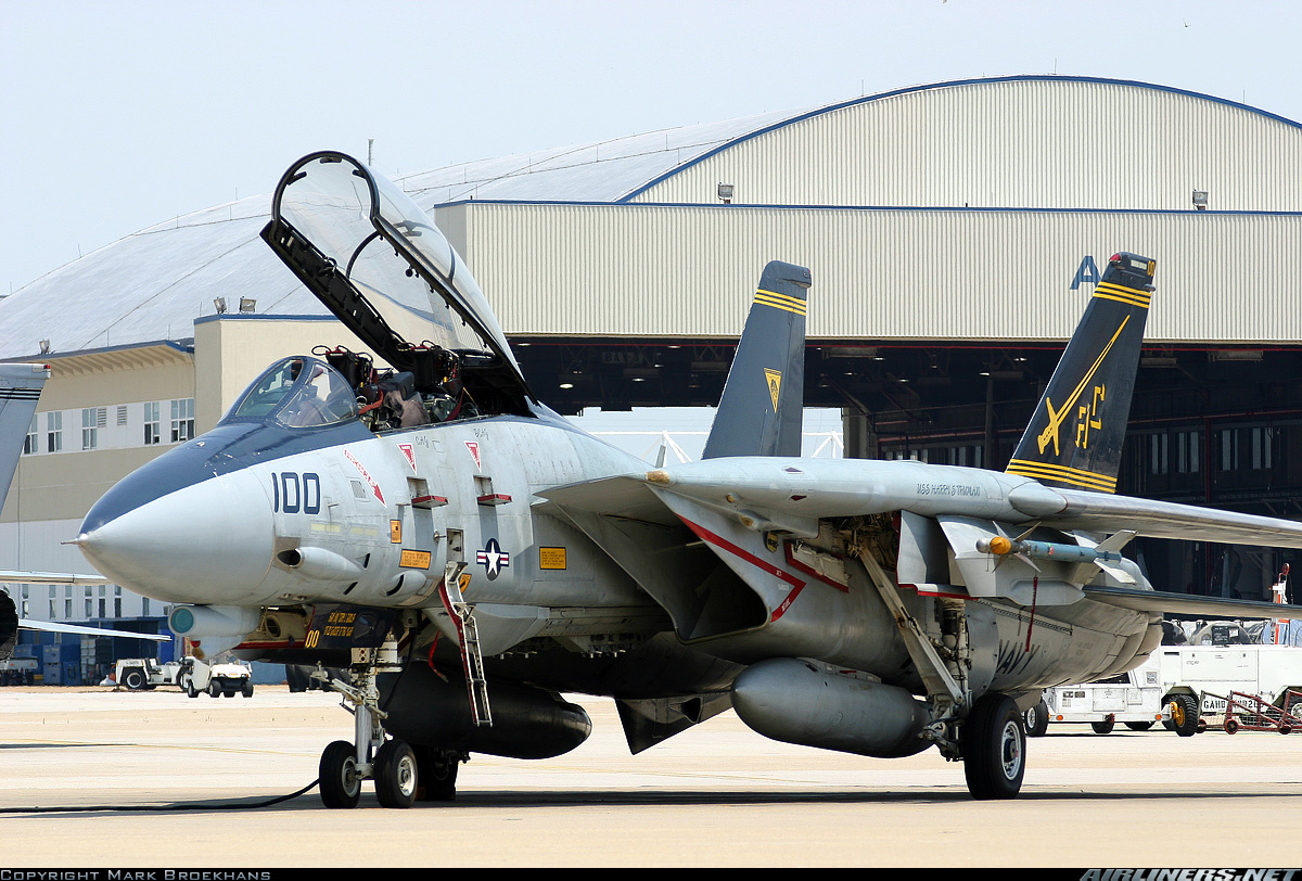 Grumman f 14 tomcat фото