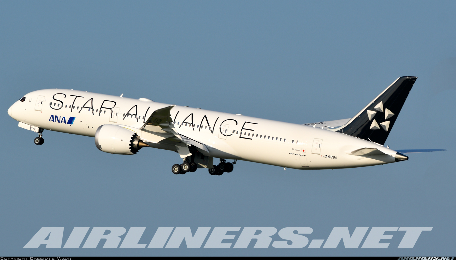 Boeing 787-9 Dreamliner - Star Alliance (All Nippon Airways - ANA