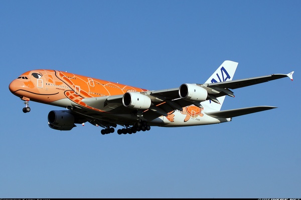 Airbus A380-841 - All Nippon Airways - ANA | Aviation Photo
